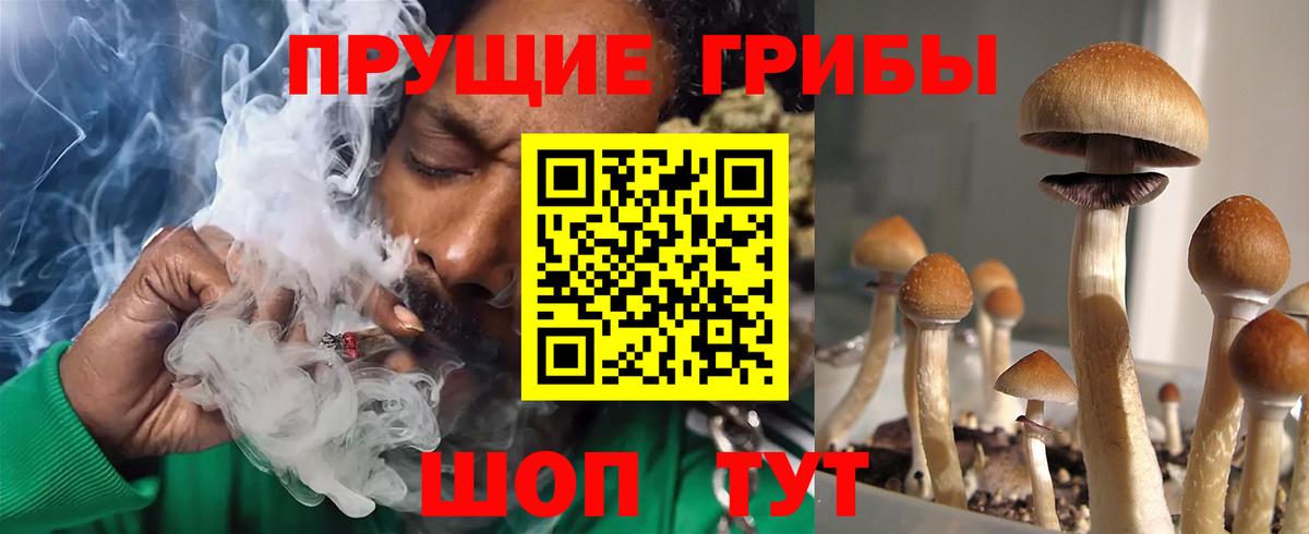 Лесозаводск  Галлюциногенные грибы Psilocybine cubensis  Вход с VPN 